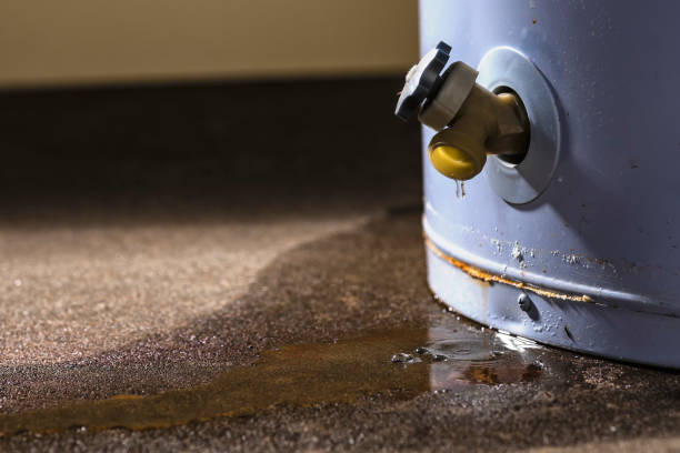 Best Water damage restoration near me  in San Juan Pistrano, CA