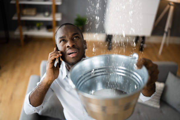 Best Carpet water damage restoration  in San Juan Pistrano, CA