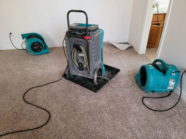 Water damage restoration mold remediation in CA