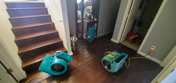 Best Local water damage restoration  in San Juan Pistrano, CA