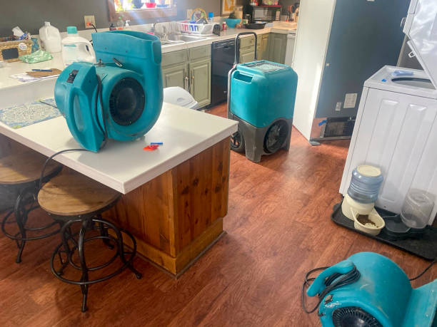 Best Water damage contractors near me  in San Juan Pistrano, CA
