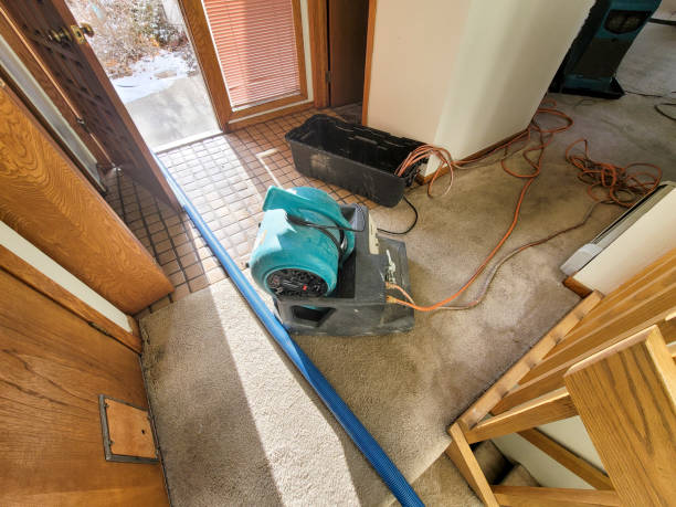 Best Emergency water damage restoration  in San Juan Pistrano, CA