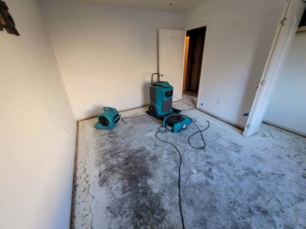 Best Flood damage cleanup  in San Juan Pistrano, CA