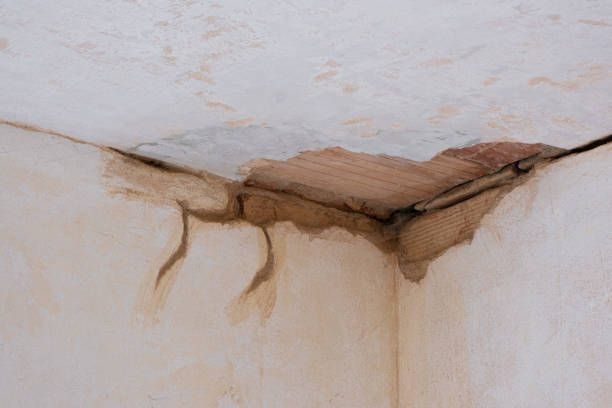 Best Flooded house restoration  in San Juan Pistrano, CA