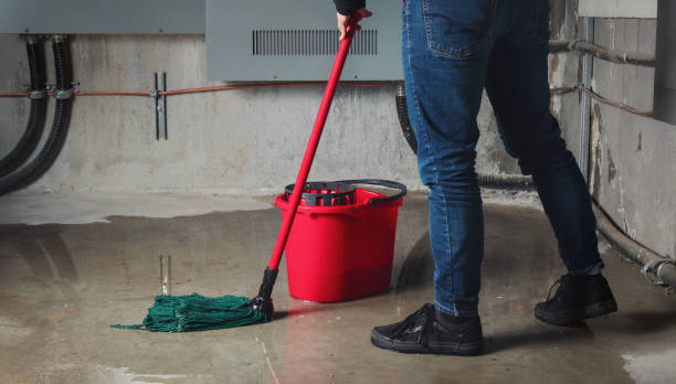 Best Emergency water damage restoration  in San Juan Pistrano, CA