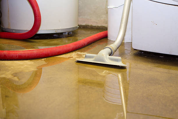 Best Water damage restoration insurance claims  in San Juan Pistrano, CA