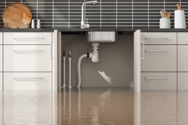 Best Ceiling water damage repair  in San Juan Pistrano, CA