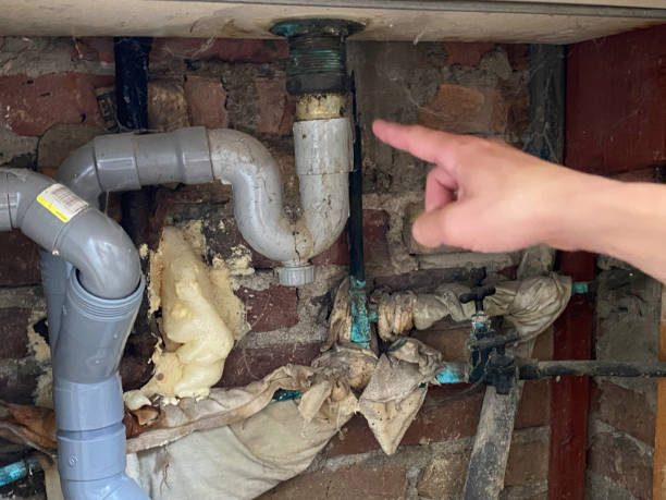 Best Fire Damage Restoration  in San Juan Pistrano, CA