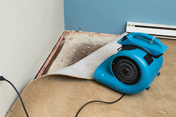 Best Sewage cleanup and water damage restoration  in San Juan Pistrano, CA